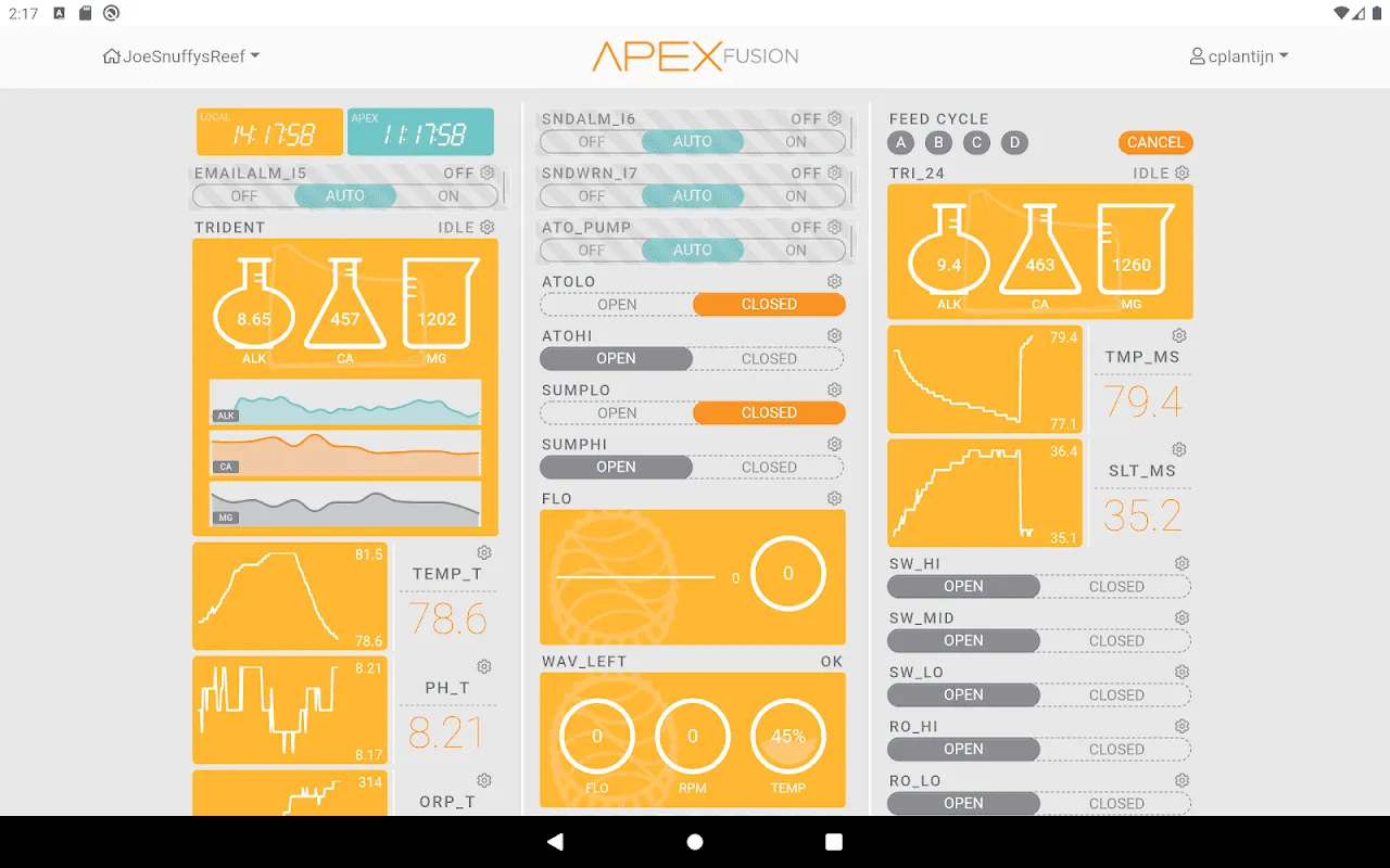 Apex Fusion Apex Fusion