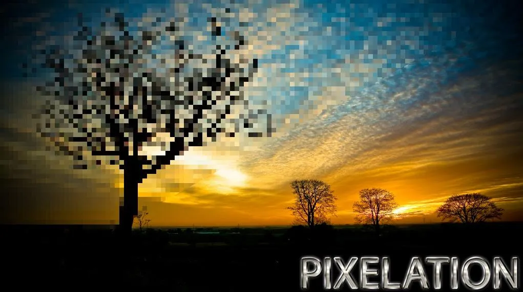 Distorted Video & Image Distorted Video & Image