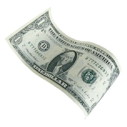 Millionaire money rain