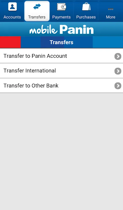 MobilePanin MobilePanin
