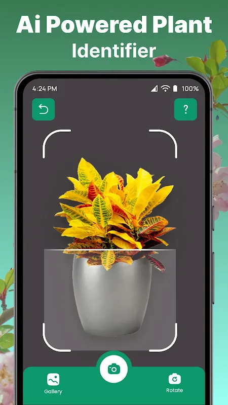 AI Plant Identifier AI Plant Identifier