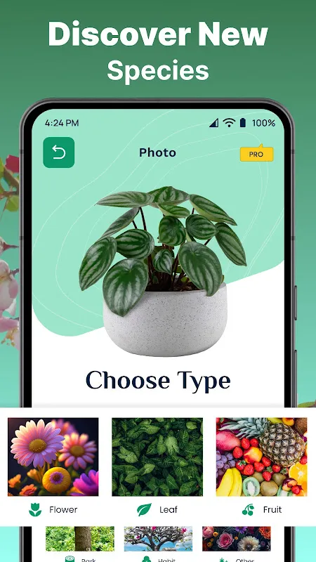 AI Plant Identifier AI Plant Identifier