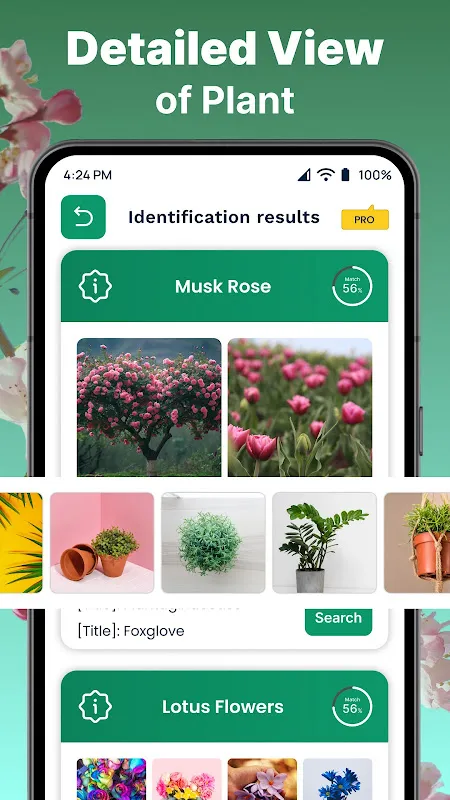 AI Plant Identifier AI Plant Identifier