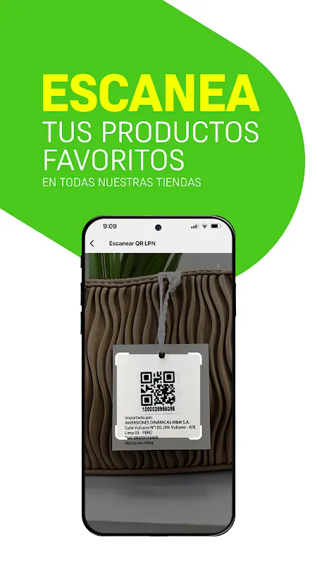 Platanitos Platanitos