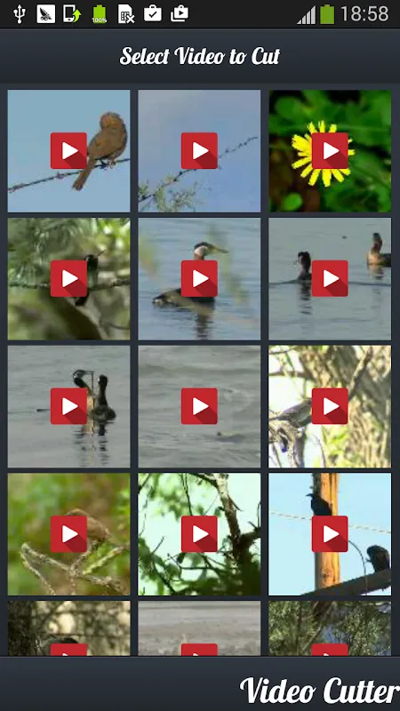 Video Cutter Video Cutter