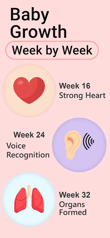 Pregnancy Calculator, Calendar Pregnancy Calculator, Calendar