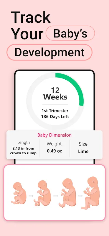 Pregnancy Calculator, Calendar Pregnancy Calculator, Calendar