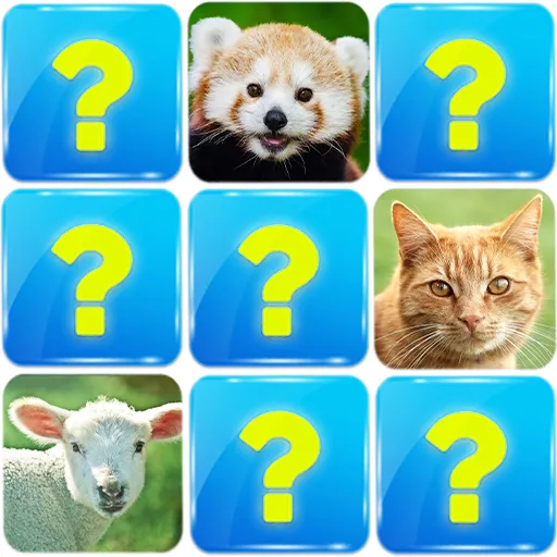 Matching Game