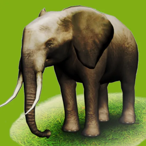 REAL ANIMALS HD