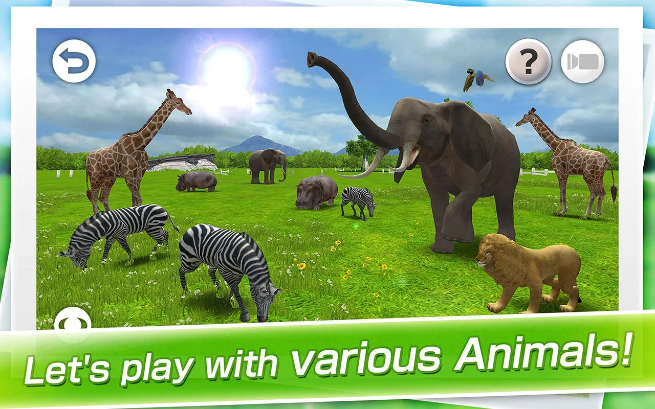 Midnight Safari: Lions in My Screen