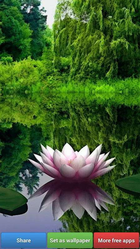 Lotus Flower Wallpapers Lotus Flower Wallpapers