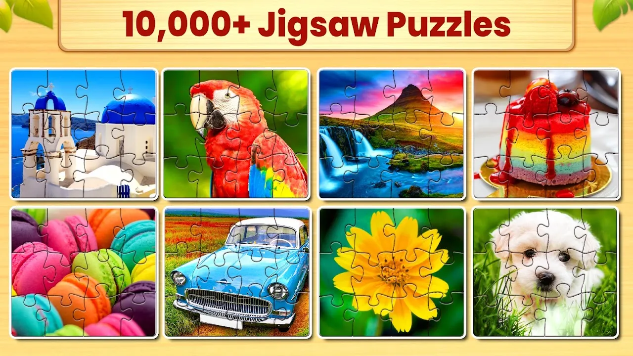 Jigsaw Puzzles Jigsaw Puzzles