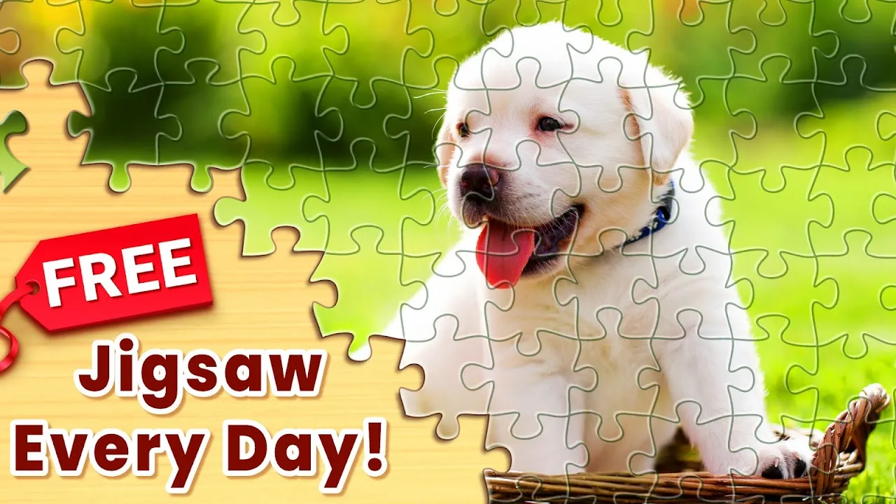 Jigsaw Puzzles Jigsaw Puzzles