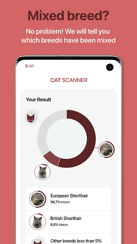 Cat Scanner Cat Scanner