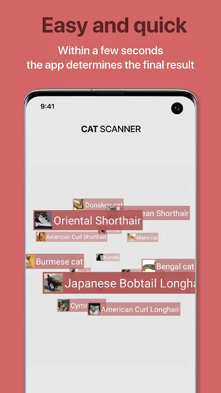 Cat Scanner Cat Scanner