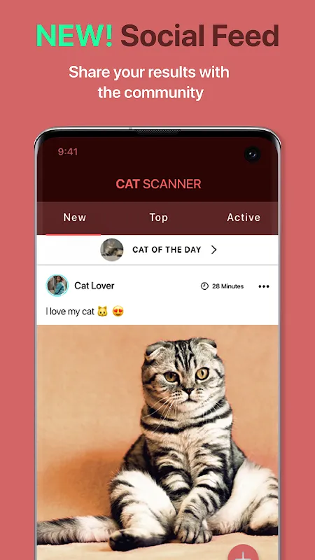 Cat Scanner Cat Scanner