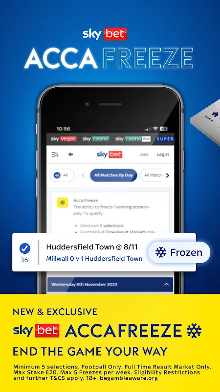 Sky Bet: My Pub Panic Savior