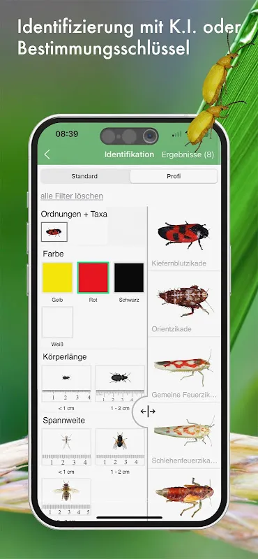 BUND Insekten Kosmos BUND Insekten Kosmos