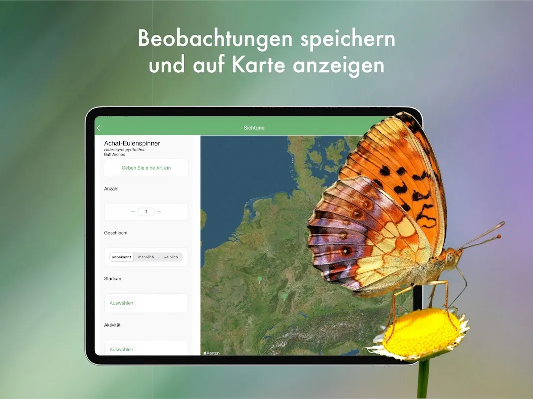 BUND Insekten Kosmos BUND Insekten Kosmos