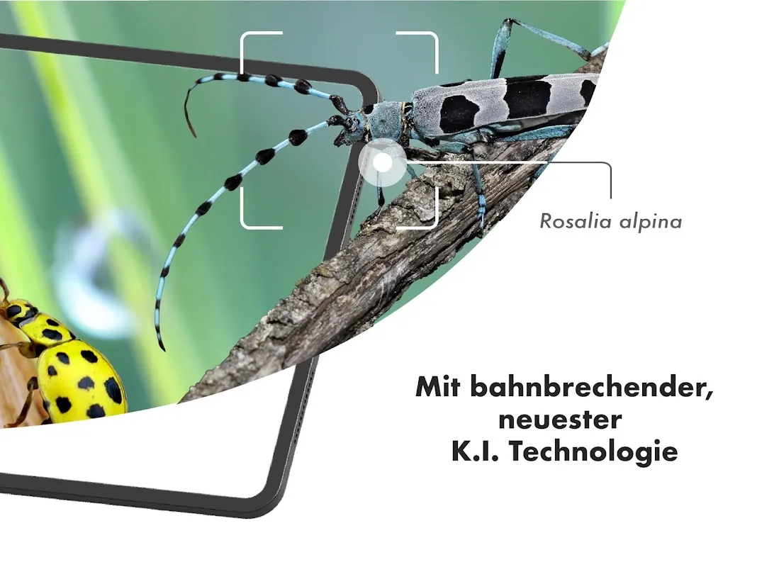 BUND Insekten Kosmos BUND Insekten Kosmos