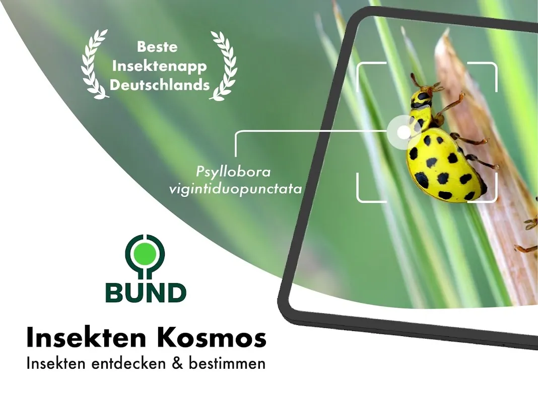 BUND Insekten Kosmos BUND Insekten Kosmos