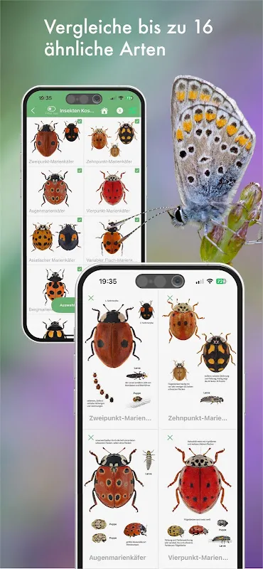 BUND Insekten Kosmos BUND Insekten Kosmos