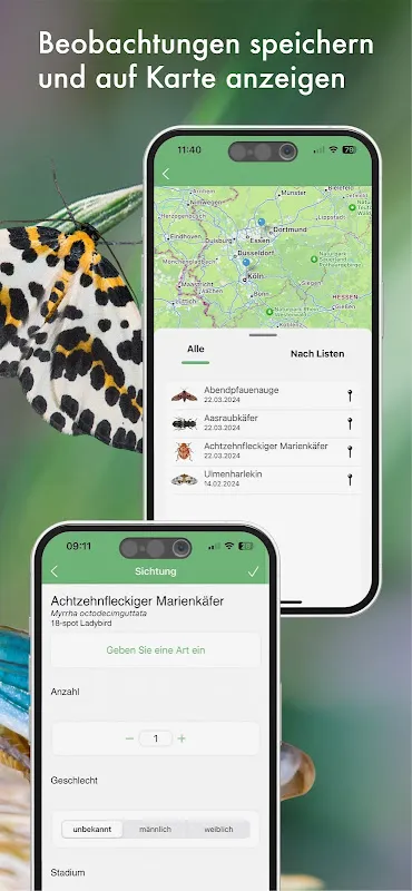 BUND Insekten Kosmos BUND Insekten Kosmos