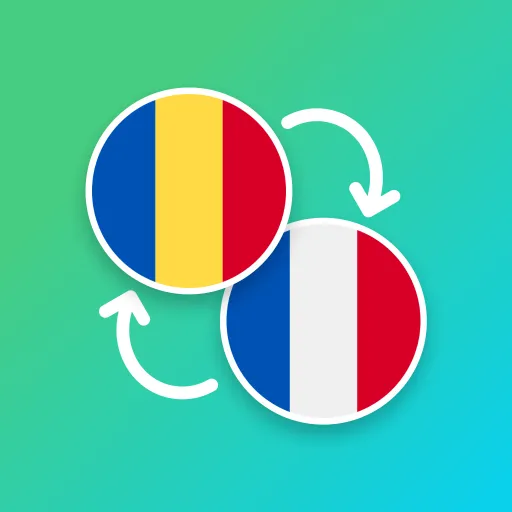 Romanian - French Translator
