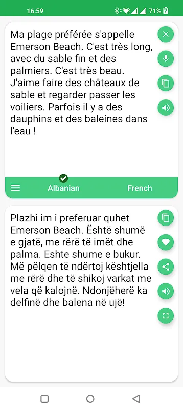 AI Translator: My Albanian Alley Miracle