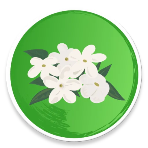 Udupi Mallige - Jasmine Flower