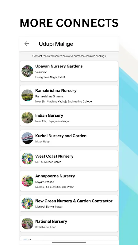 Udupi Mallige - Jasmine Flower Udupi Mallige - Jasmine Flower