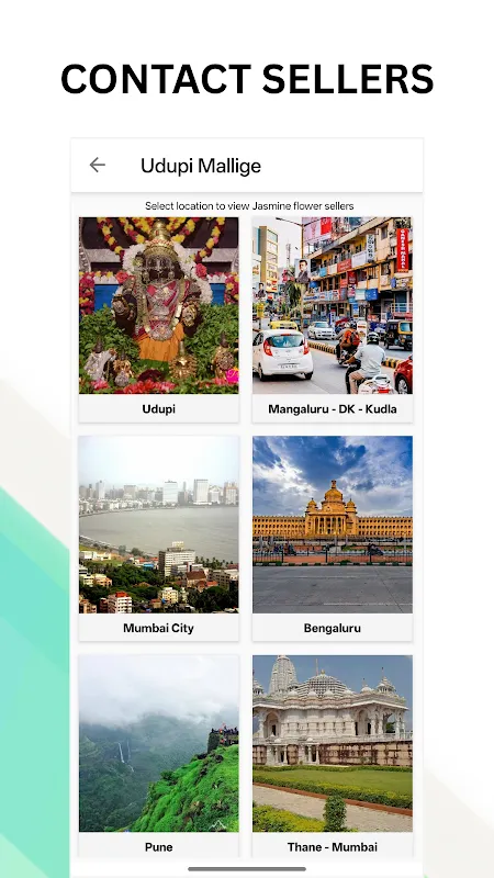 Udupi Mallige - Jasmine Flower Udupi Mallige - Jasmine Flower