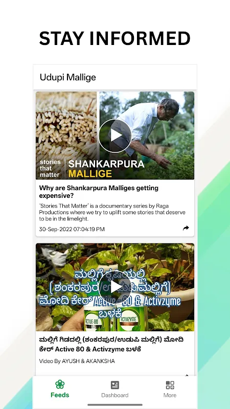 Udupi Mallige - Jasmine Flower Udupi Mallige - Jasmine Flower