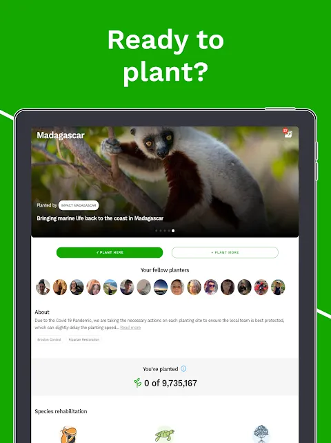My Morning Tree: How an App Changed Everything