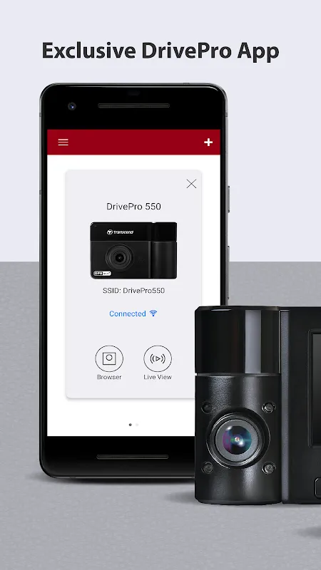 DrivePro: My Unexpected Digital Witness