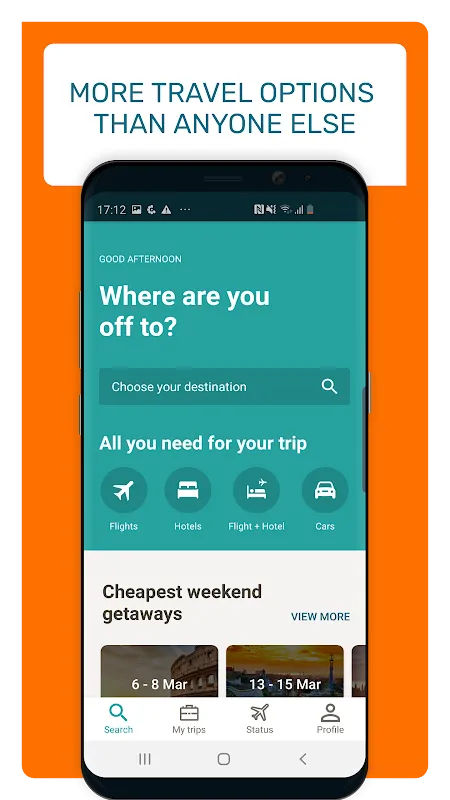 Travellink Rescued My Travel Chaos