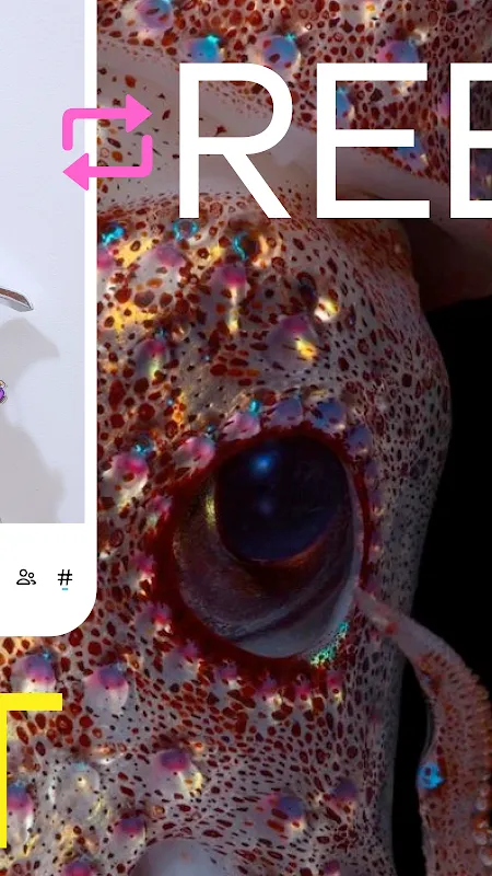 Tumblr—Fandom, Art, Chaos Tumblr—Fandom, Art, Chaos