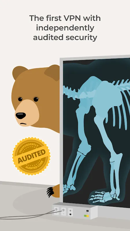 TunnelBear: When Bears Guarded My Secrets