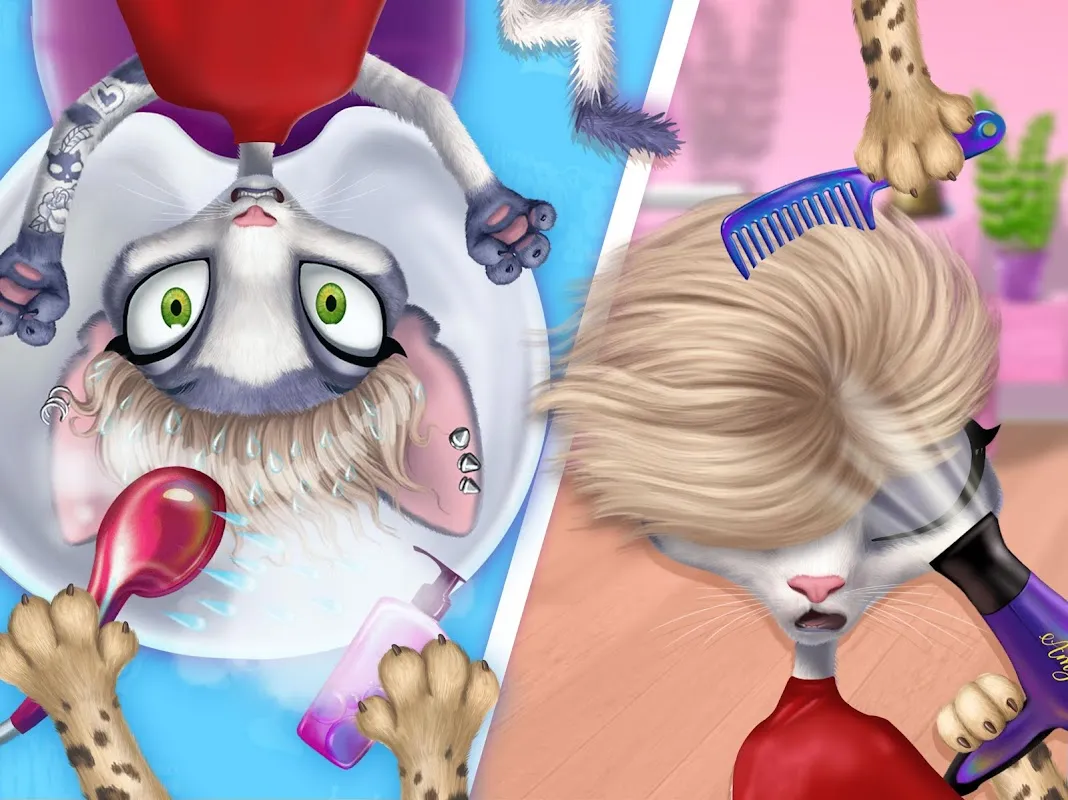 Amy's Animal Hair Salon Amy's Animal Hair Salon