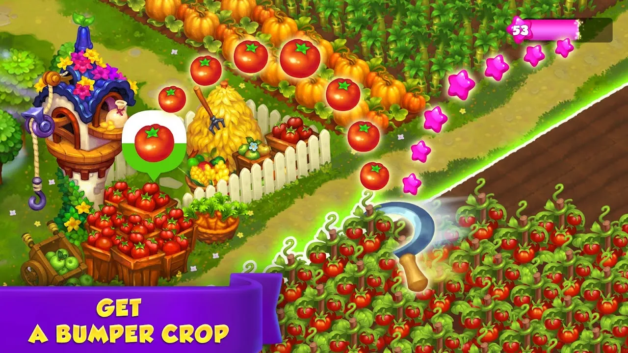 Royal Farm Royal Farm