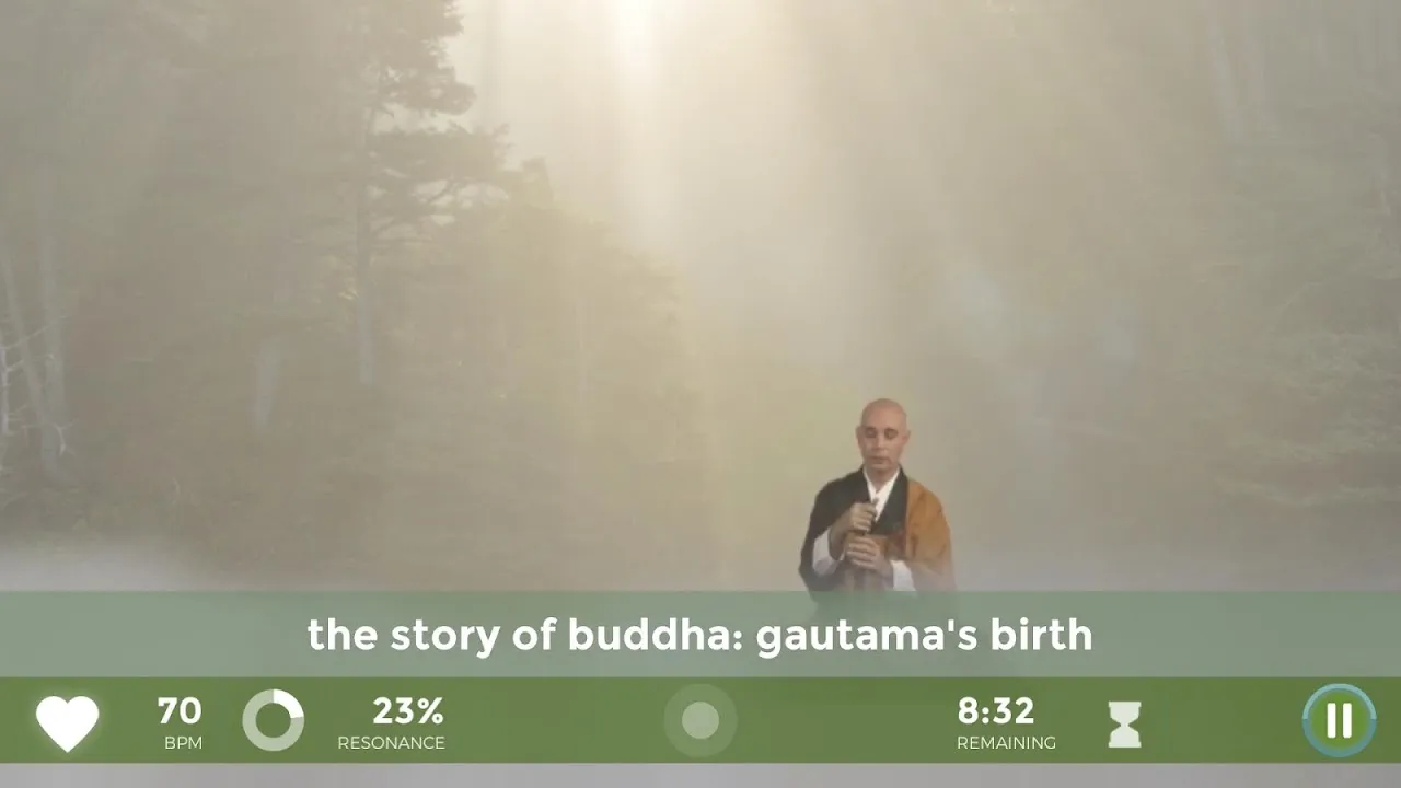 Zen Journey Zen Journey