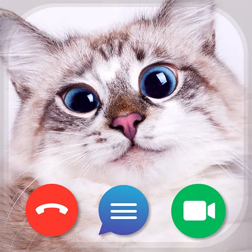 Cat Fake Video Calls and Chat