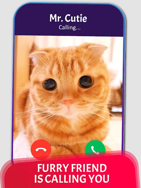 Cat Fake Video Calls and Chat Cat Fake Video Calls and Chat