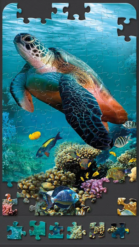 Jigsaw Puzzles HD Jigsaw Puzzles HD