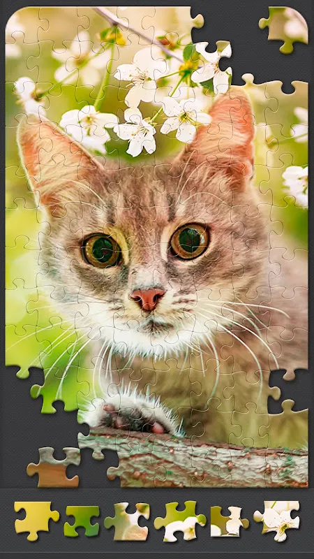 Jigsaw Puzzles HD Jigsaw Puzzles HD