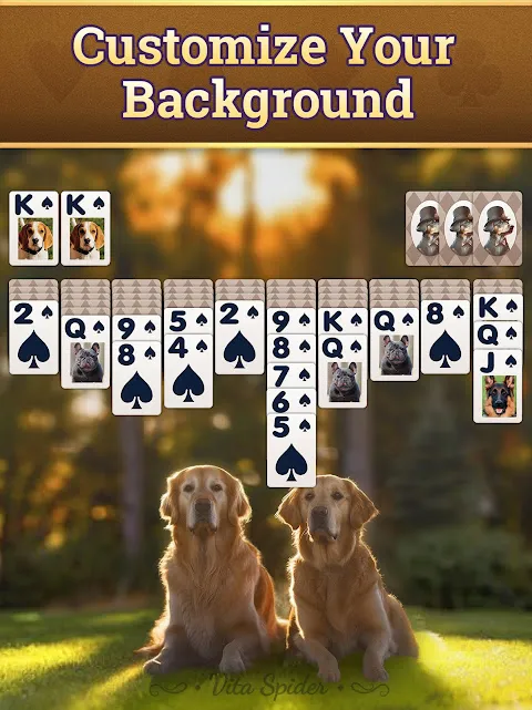Vita Spider Solitaire Vita Spider Solitaire