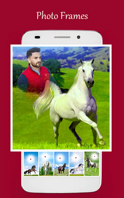 My Gallery's Equestrian Revolution