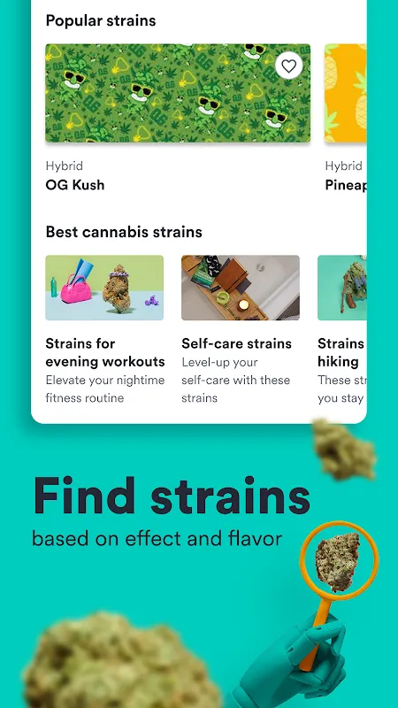 Weedmaps Weedmaps