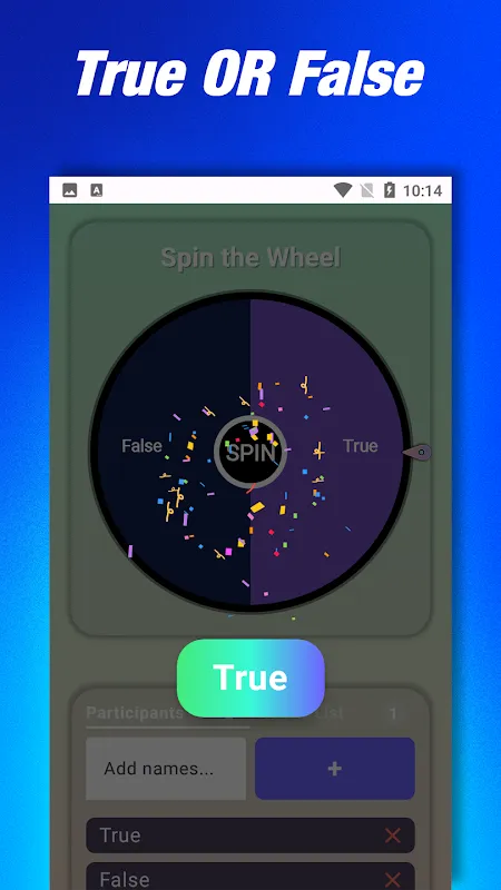 Spin the Wheel Spin the Wheel