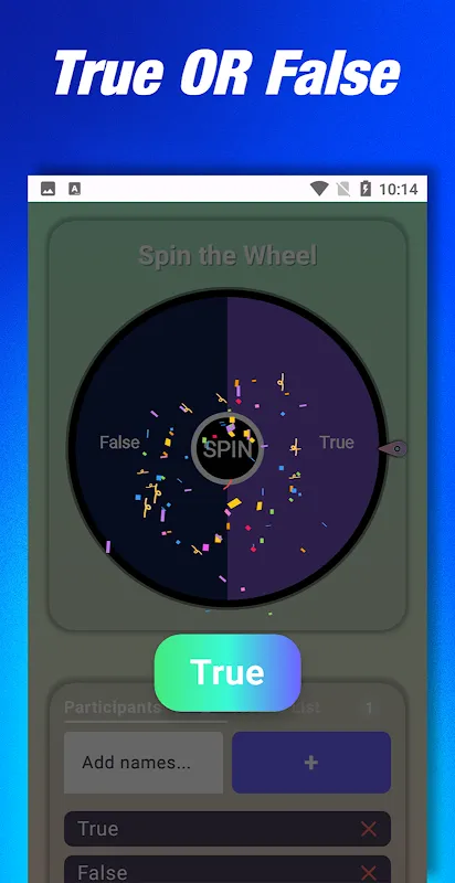 Spin the Wheel Spin the Wheel